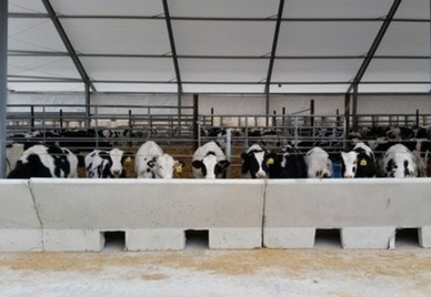 Bedpack Barns