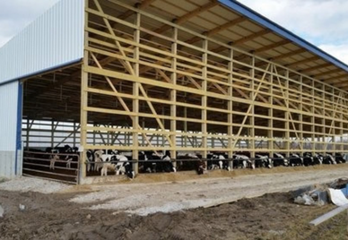 Bedpack Barns
