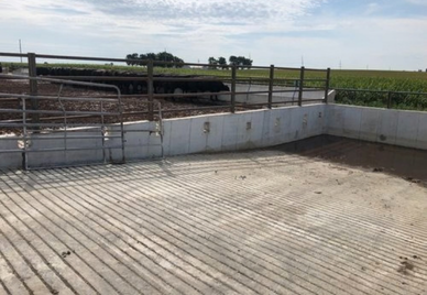 Beef Facility Expansion / Livingston County, Illinois