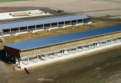 Beef Farm Design / DeWitt County, Illinois