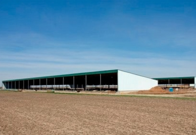 Beef Farm Design / Vermilion County, Illinois