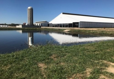 Dairy Facility Expansion / Madison County, Illinois