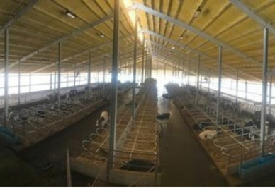 Dairy Facility Expansion / Madison County, Illinois