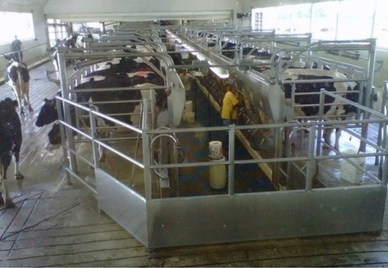 Dairy Facility Improvements / Macoupin County, Illinois