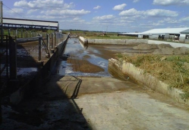 Dairy Facility Improvements / Macoupin County, Illinois