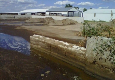 Dairy Facility Improvements / Macoupin County, Illinois