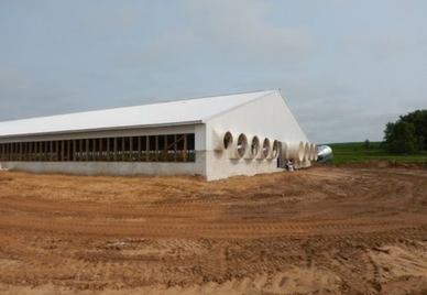 Deep Pit Barns