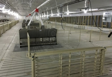 Deep Pit Barns