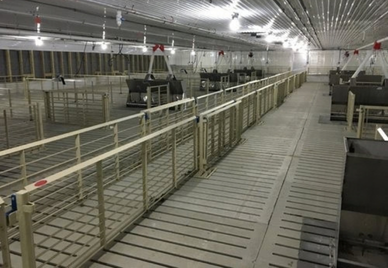 Deep Pit Barns