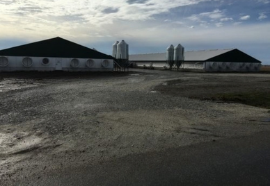 Deep Pit Barns