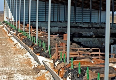 Deep Pit Barns