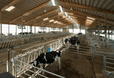New Dairy Facility / Piatt County, Illinois