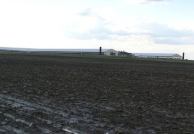New Dairy Facility / Piatt County, Illinois