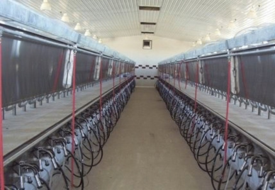 New Dairy Facility / Piatt County, Illinois