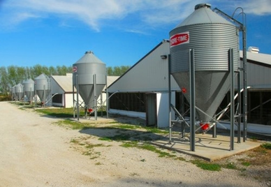 Facility Design / Woodford County, Illinois