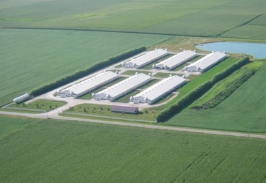 Facility Design / Woodford County, Illinois